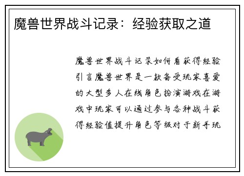 魔兽世界战斗记录：经验获取之道